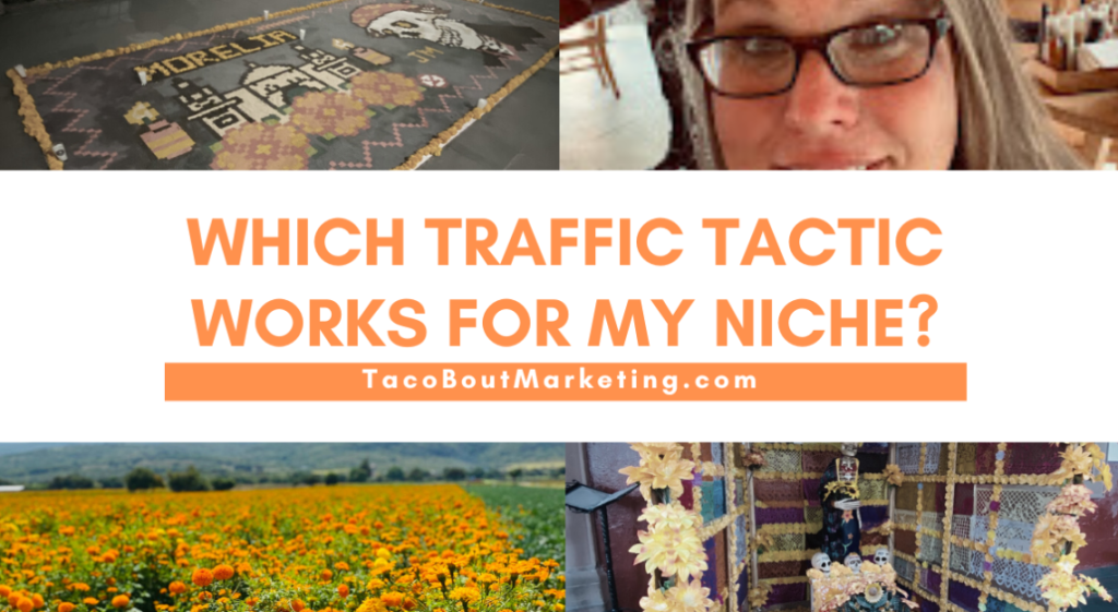 Which Traffic Tactic Works For MY Niche?