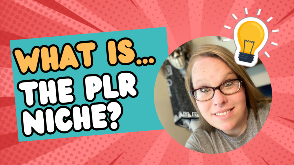 What Does It Mean? The PLR Niche Explained!