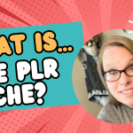 What Does It Mean? The PLR Niche Explained!