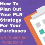 How To Plan Out Your PLR Strategy For Your Purchases
